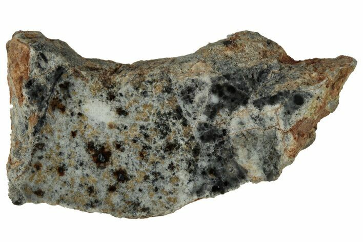 Lunar Meteorite Section ( g) - Bechar #313014